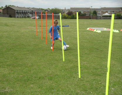 Mini Pole Set